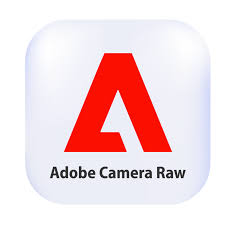 Descargar Gratis Adobe Camera Raw En Español